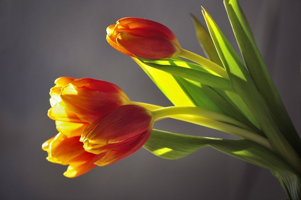 Photograph by Игорь Овсиенко