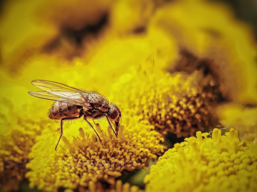 Photograph by Пётр Селетков