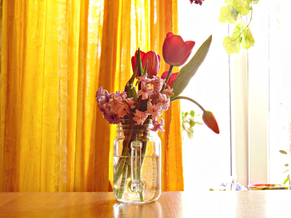 Photograph by Ольга Шевцова