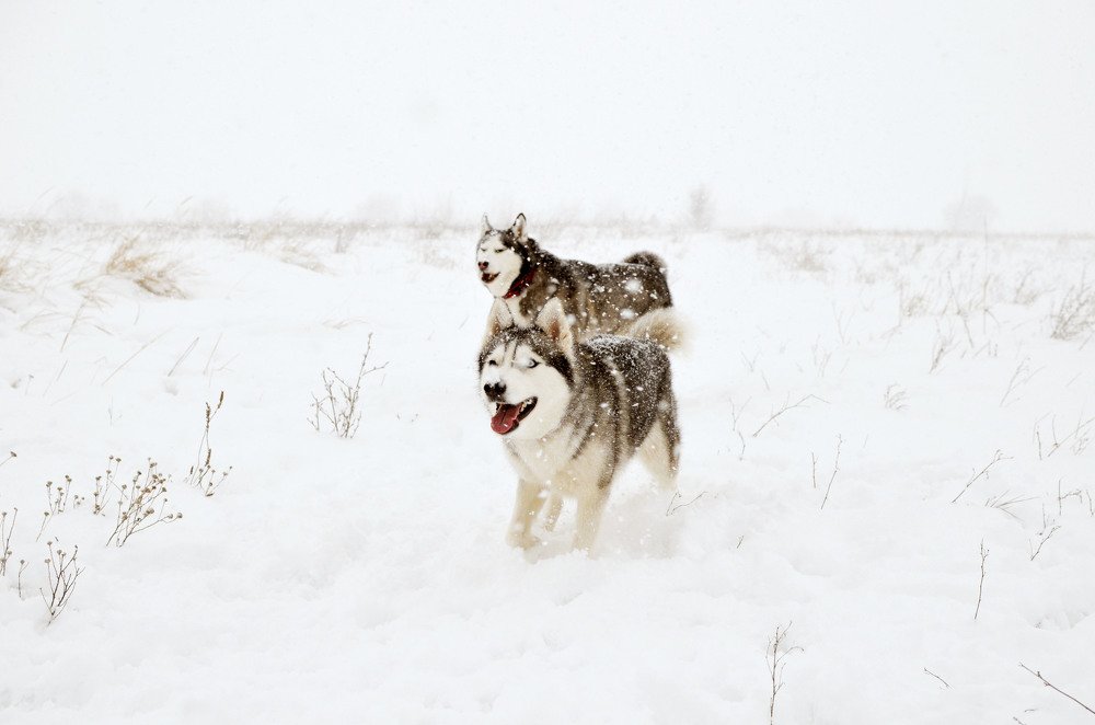 Фотография автора Виктория