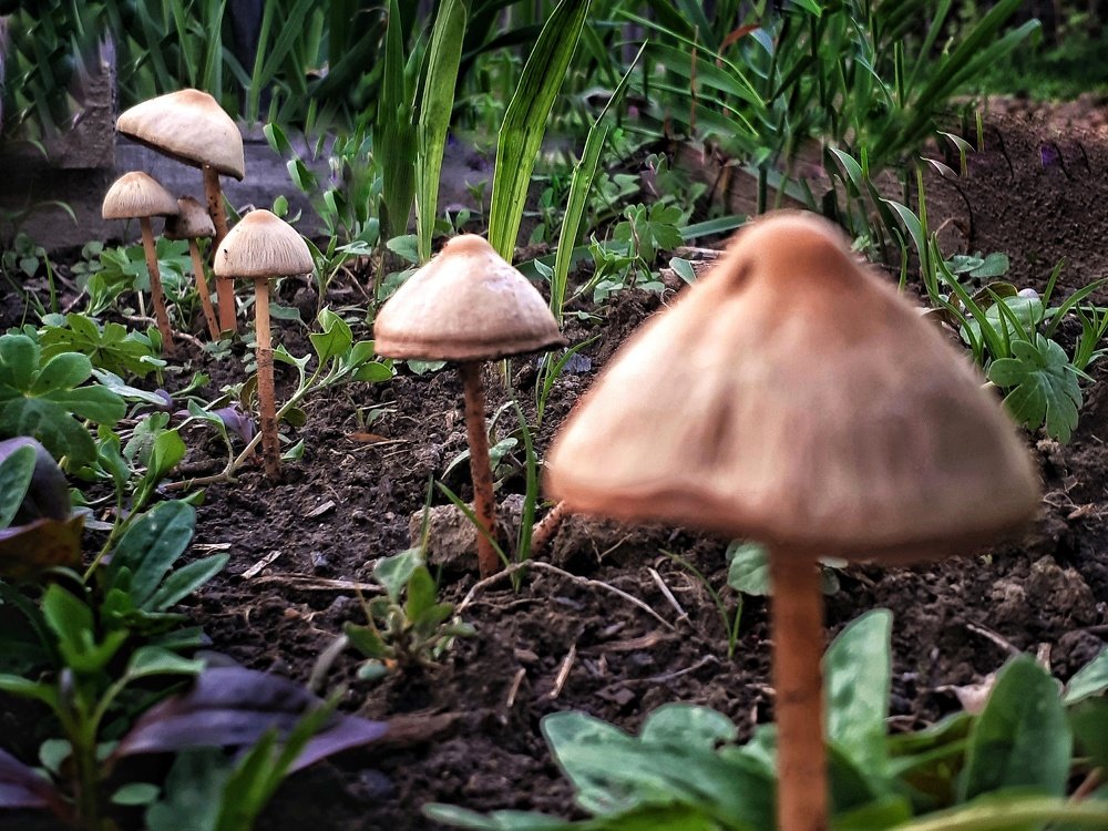 Photograph by Пётр Селетков