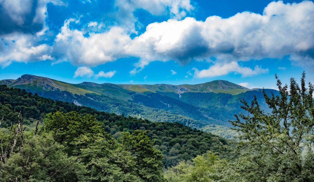 Photograph by Руслан Карабаза