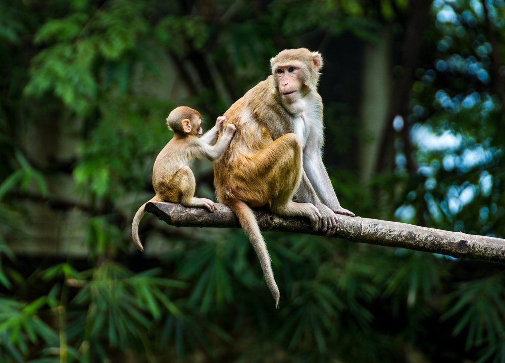 Photograph by Saumy Nagayach