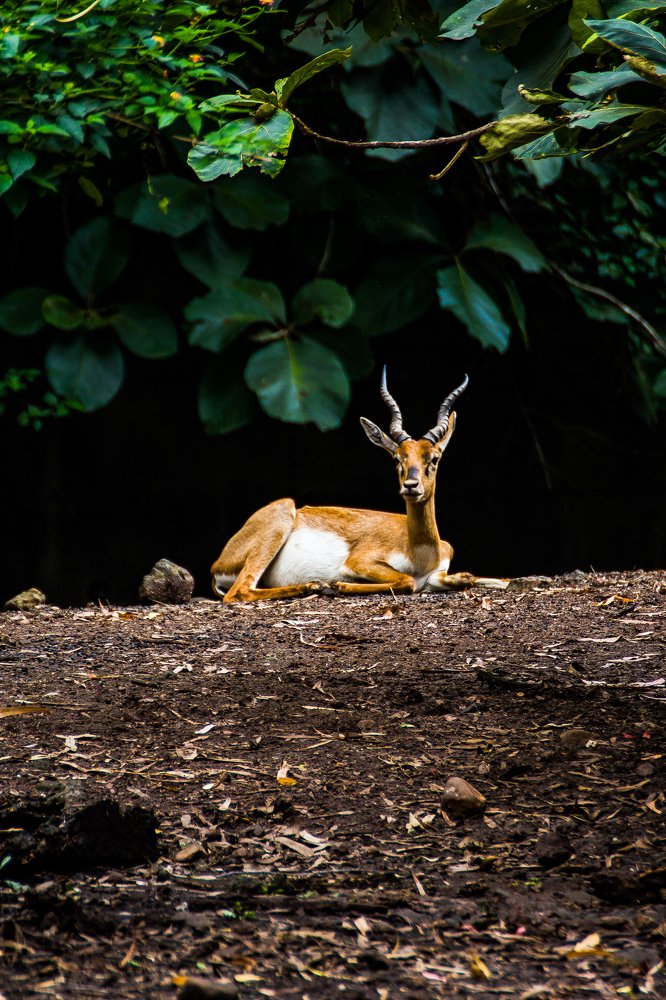 Photograph by Saumy Nagayach