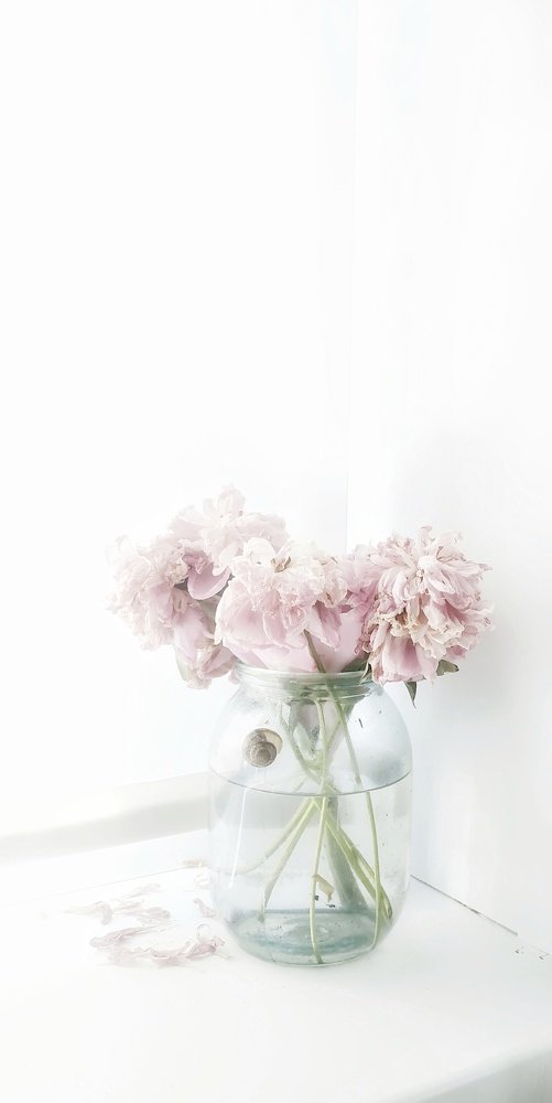 Photograph by Юлия Марфонова