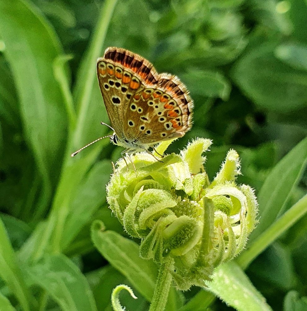 Photograph by Zrinka Balabanić