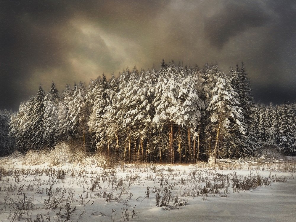 В ожидание урагана