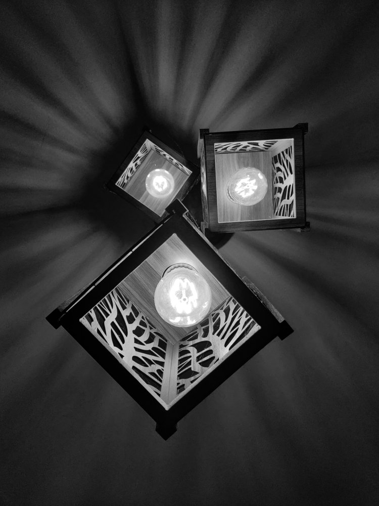 Photograph by Saumy Nagayach