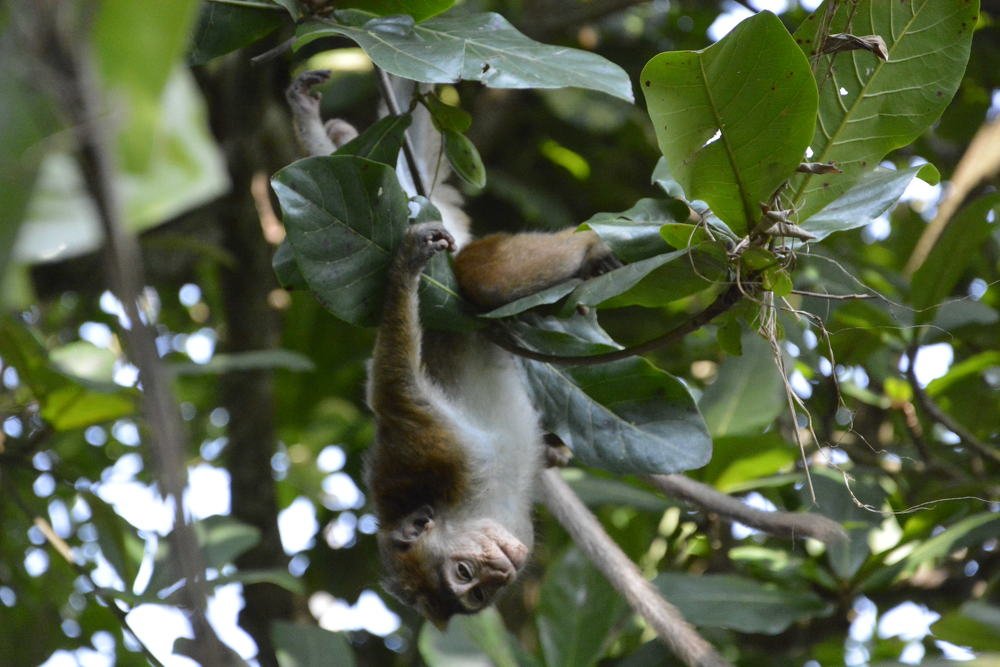 Photograph by Ksenija-Sena Kovacevic