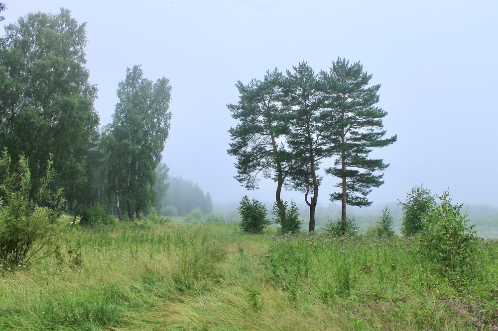 Photograph by Леунина Людмила