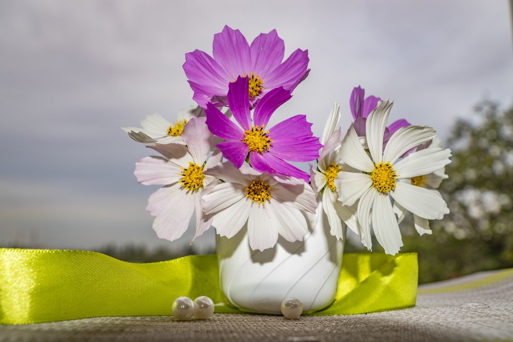 Photograph by Меркулова Наталья Геннадьевна