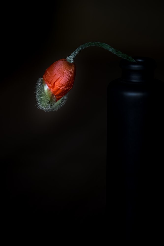 Photograph by Larisa Cekanaviсa