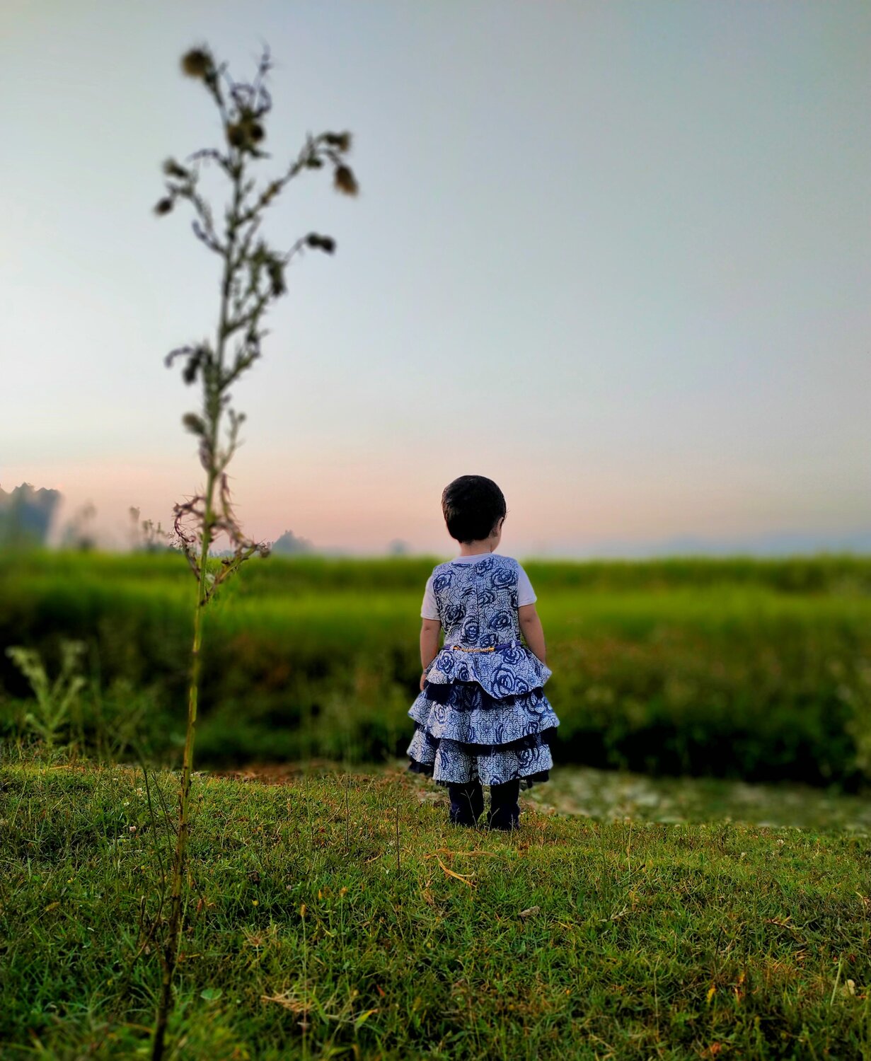 Childhood is a Blessing.