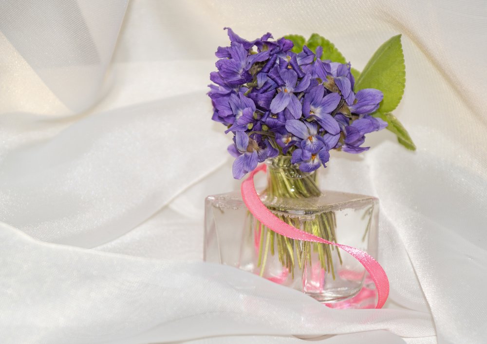 Photograph by Меркулова Наталья Геннадьевна