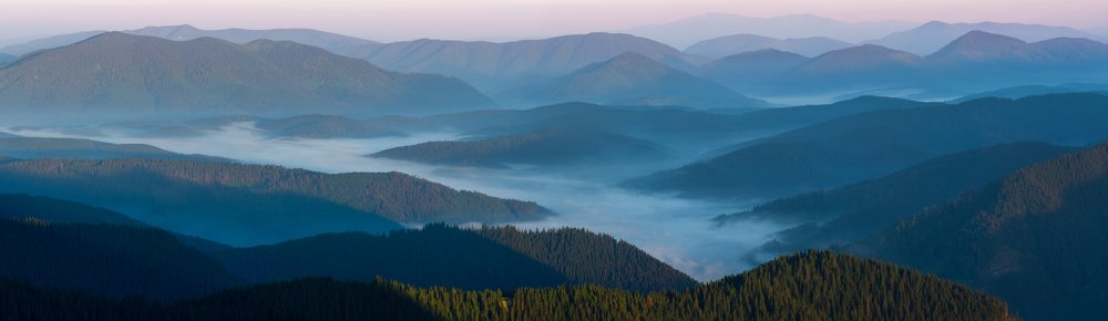 Photograph by Наталия Мостовая