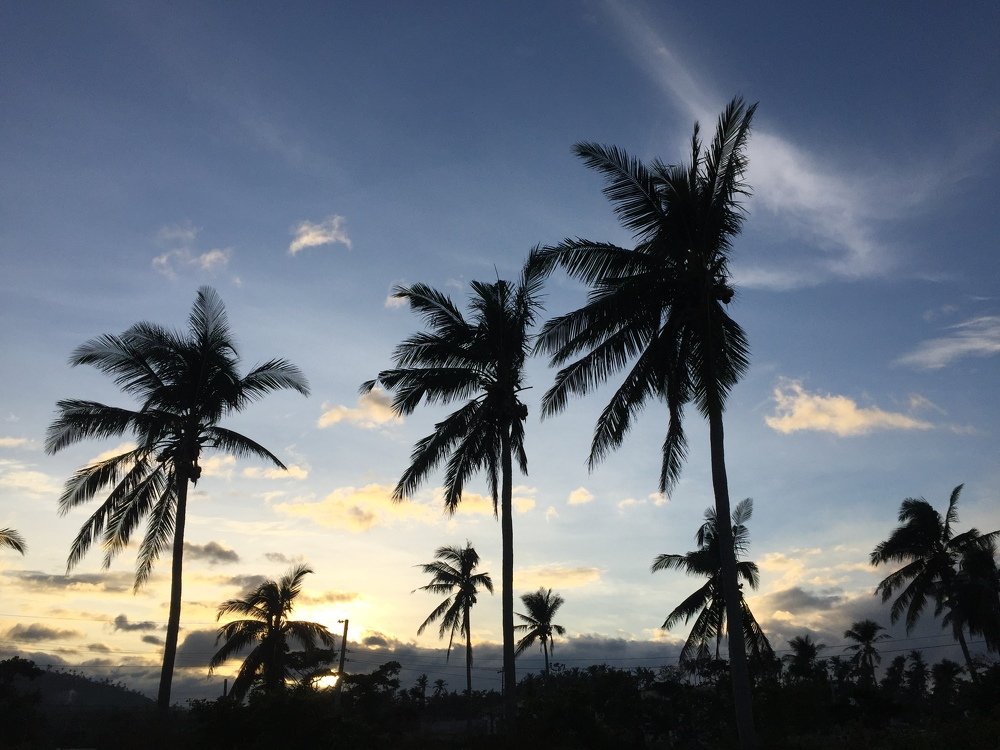 There's always a beauty after the disaster