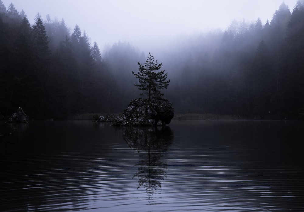 Photograph by Gerard Ngo