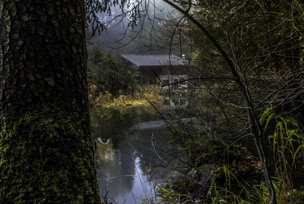 Photograph by Gerard Ngo