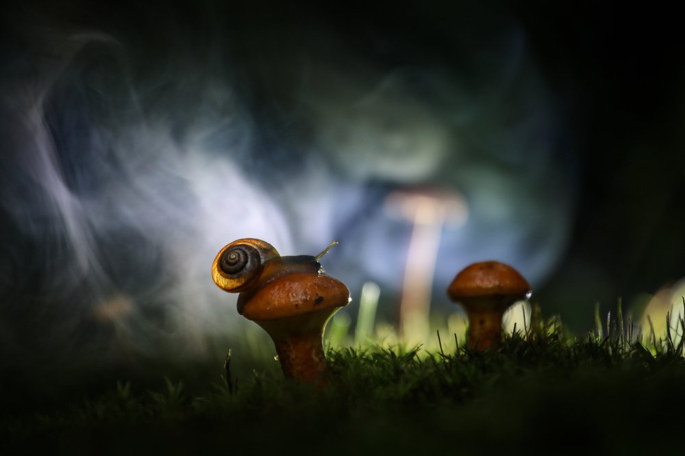 Photograph by Светлана Воскресенская