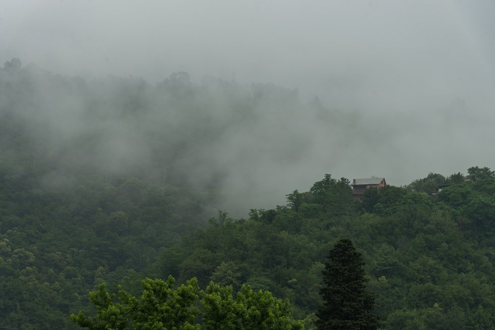 Photograph by Виктор Евстратов