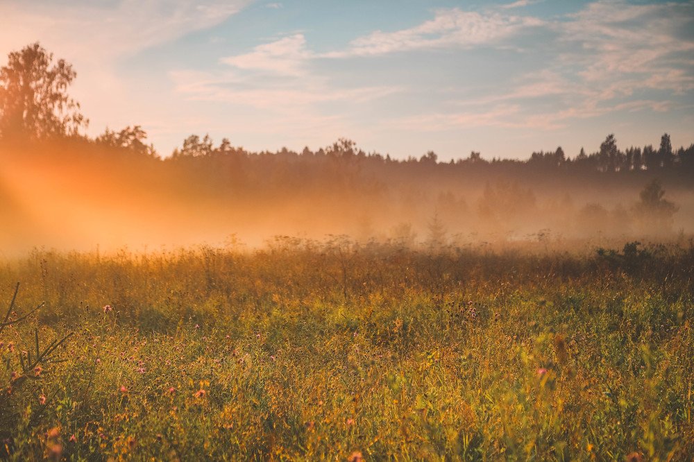 Photograph by Светлана Воскресенская