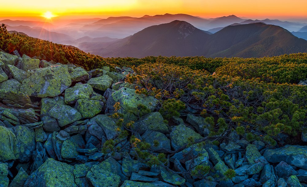 Photograph by Наталия Мостовая