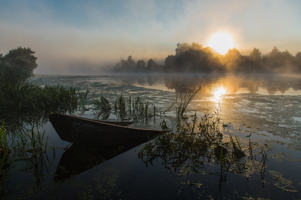Photograph by Виктор Евстратов