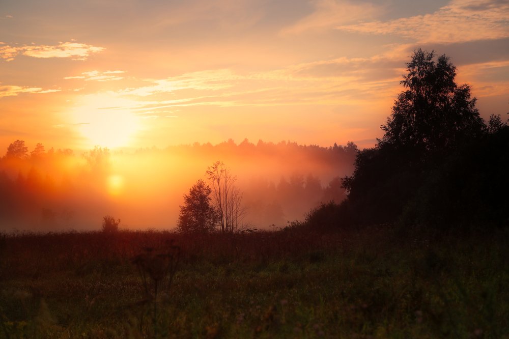 Photograph by Светлана Воскресенская