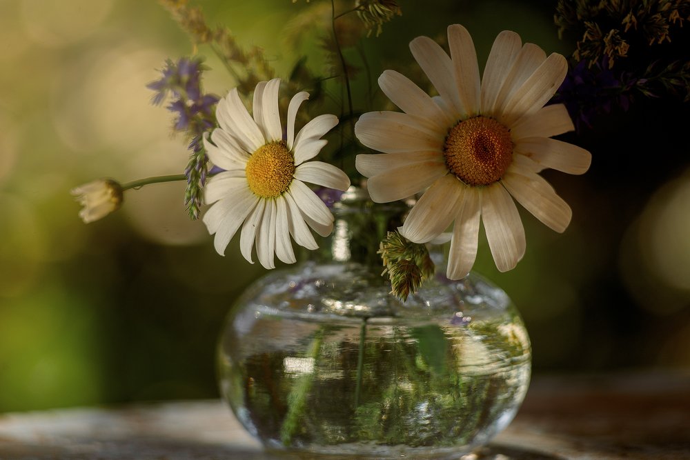 Photograph by Оксана Шарабанова