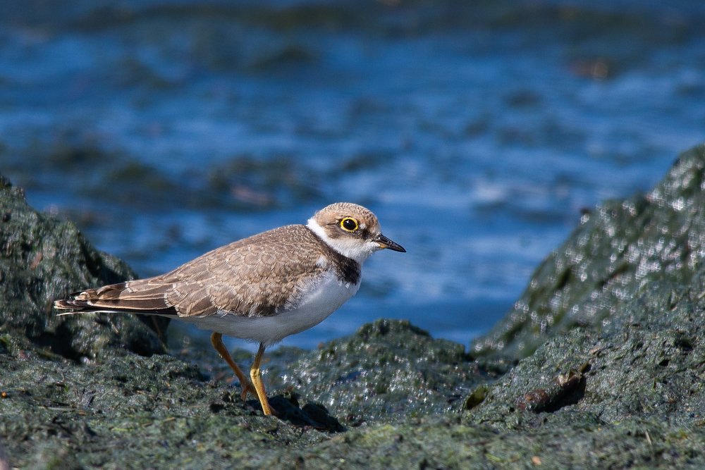 Photograph by Виктор Плахотин