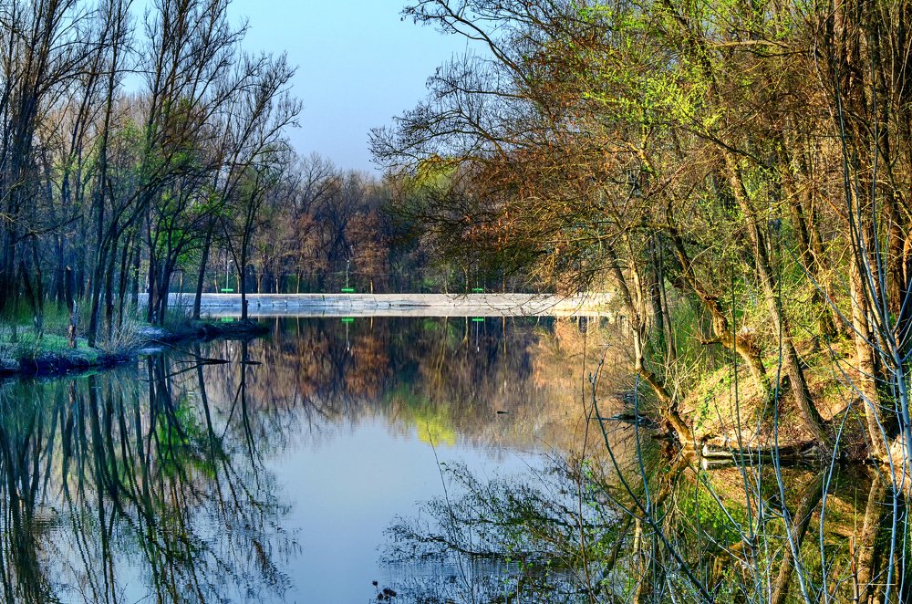 Городское озеро весенним солнечным утром.
