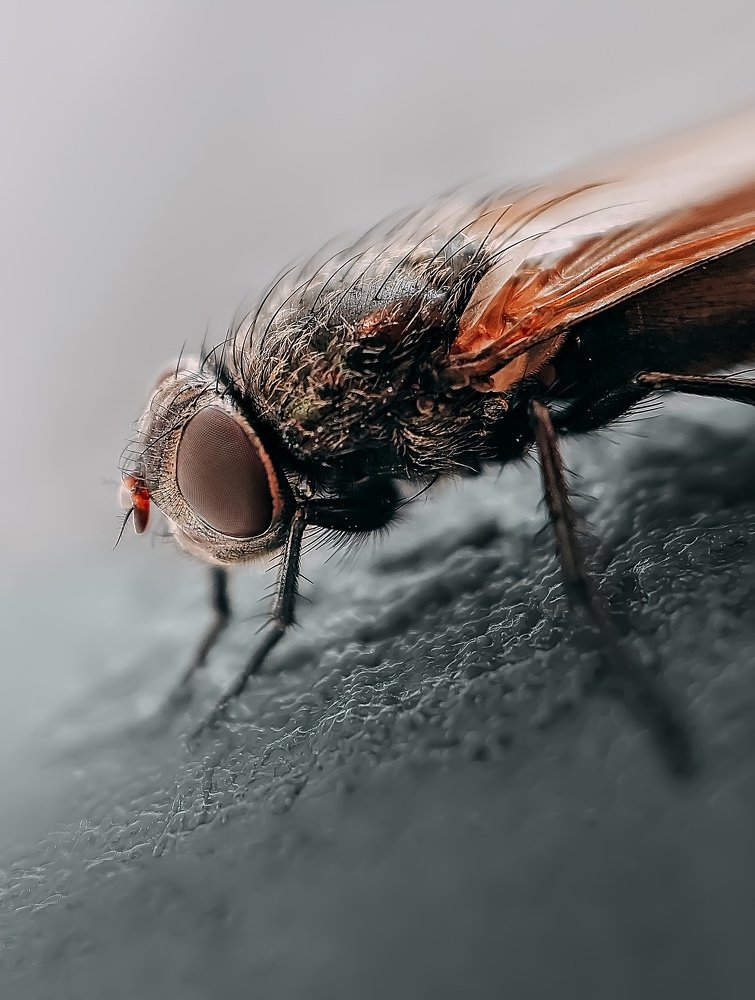 Photograph by Кристина Полунина