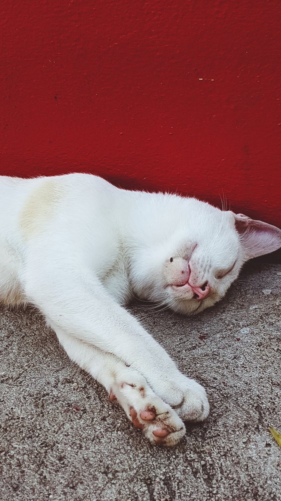 Photograph by TYM XS