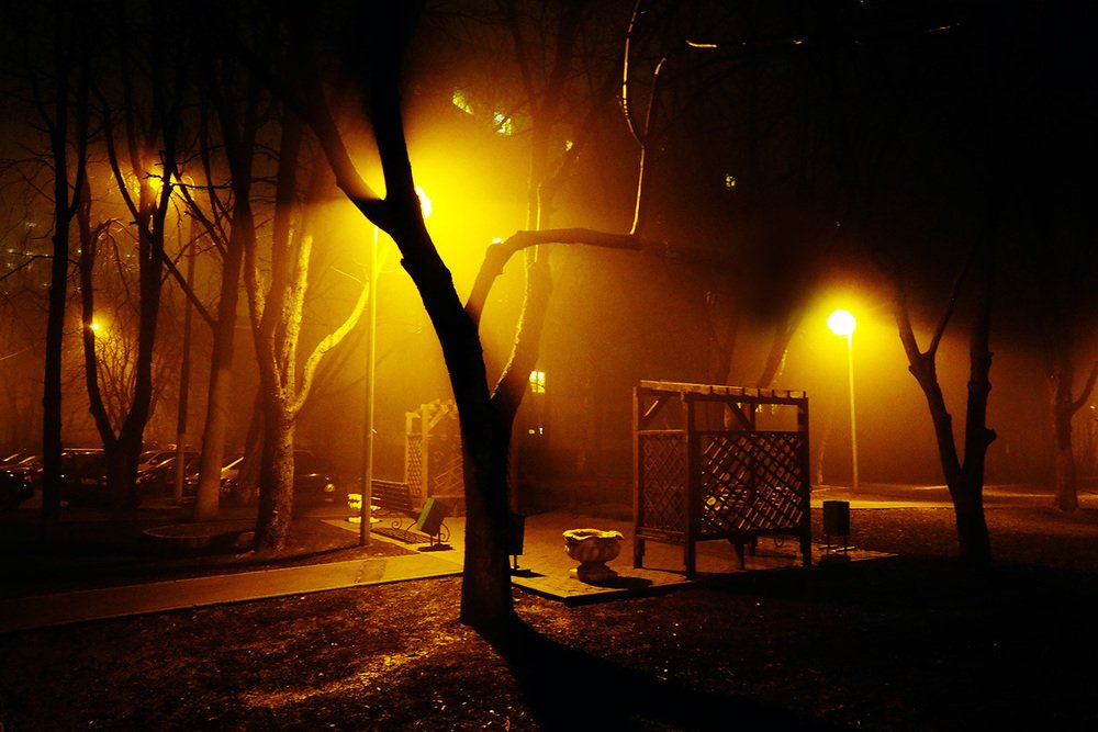 Photograph by Дмитрий Потапов