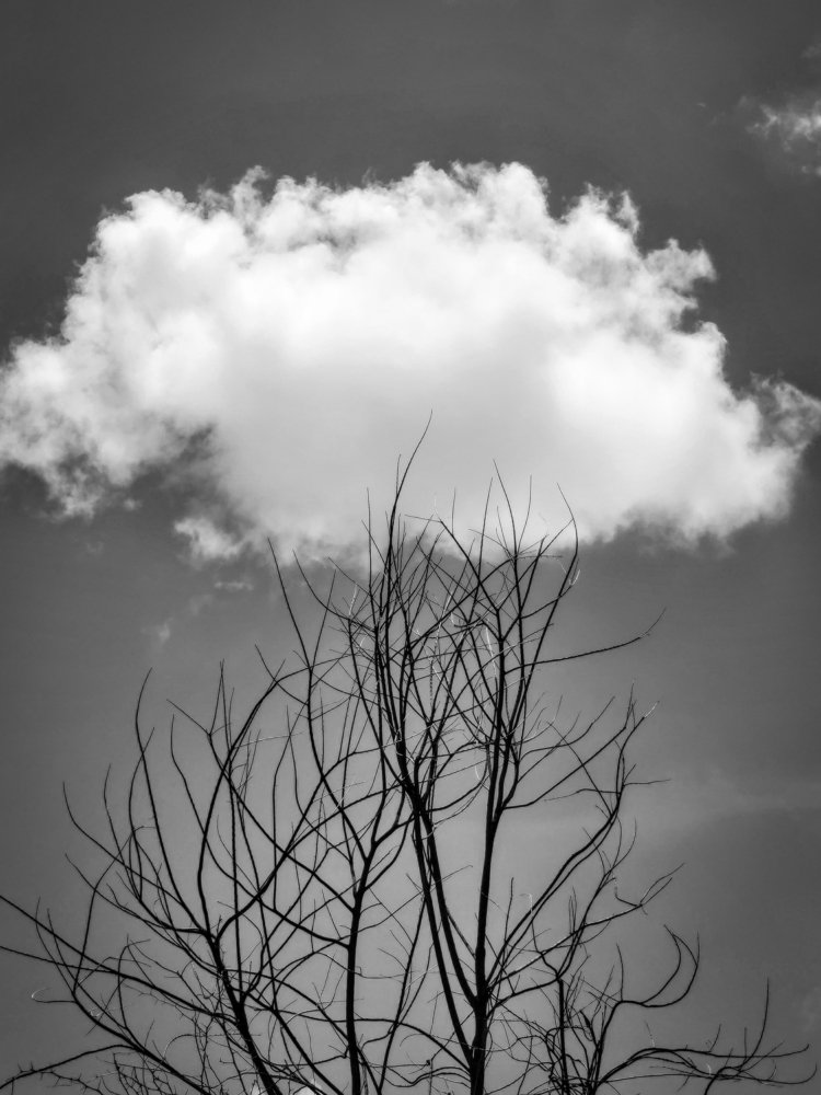 Photograph by Saumy Nagayach