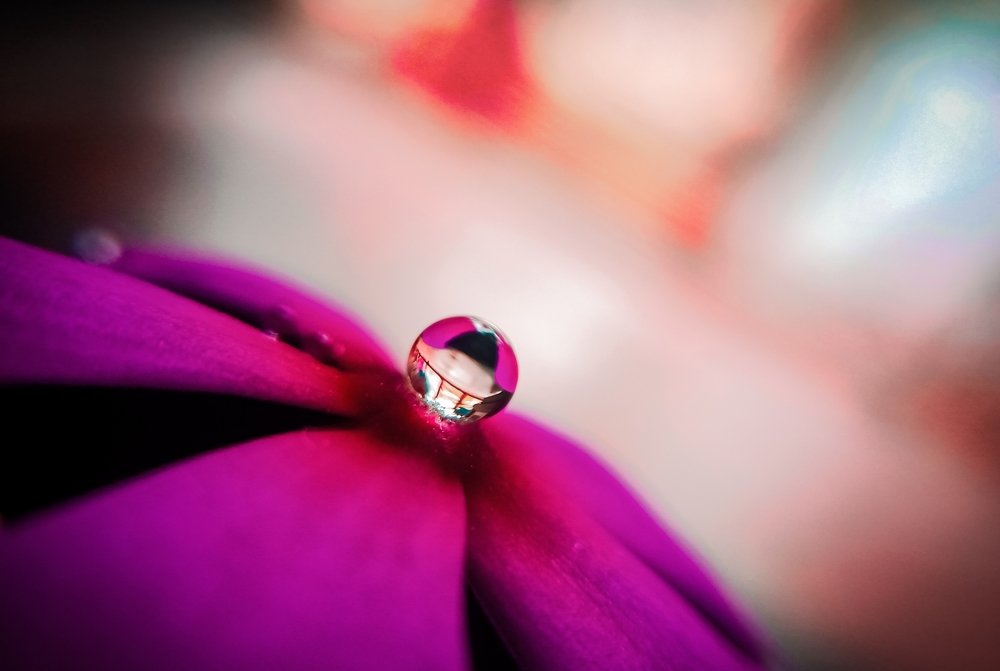 Photograph by Souvik Bhattacharyya