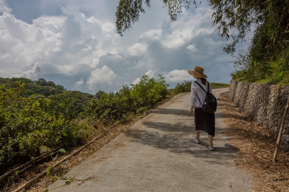 Photograph by Chen Ming-Wei