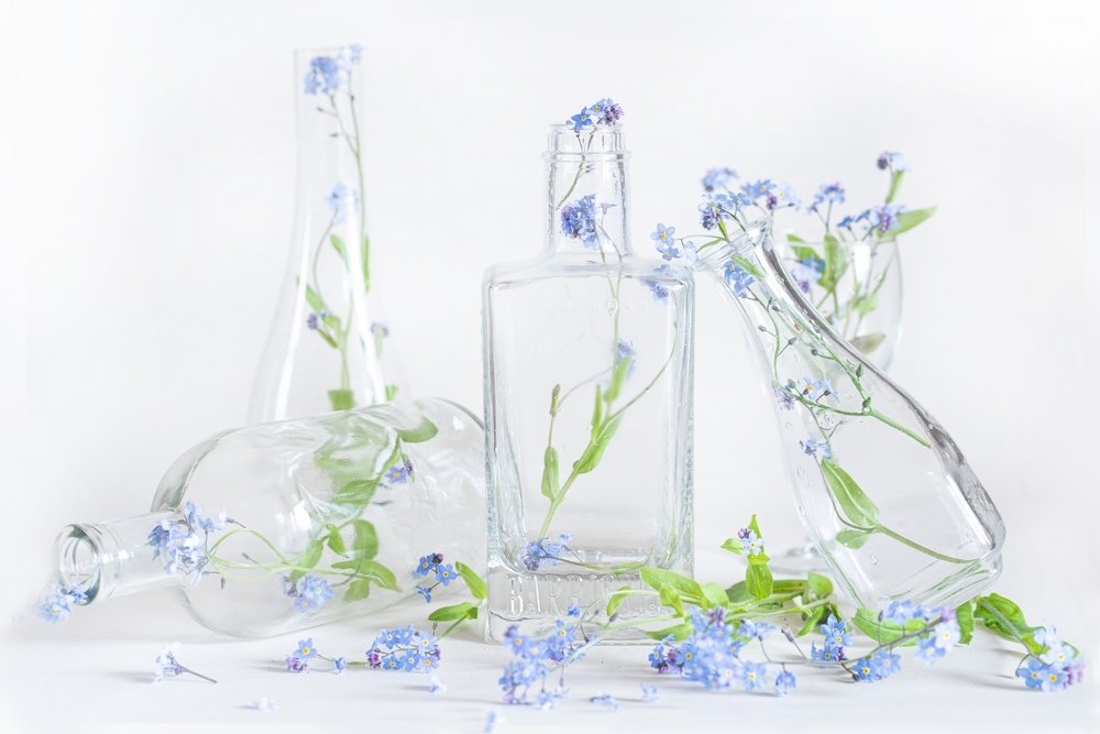 Photograph by Юлия Ла