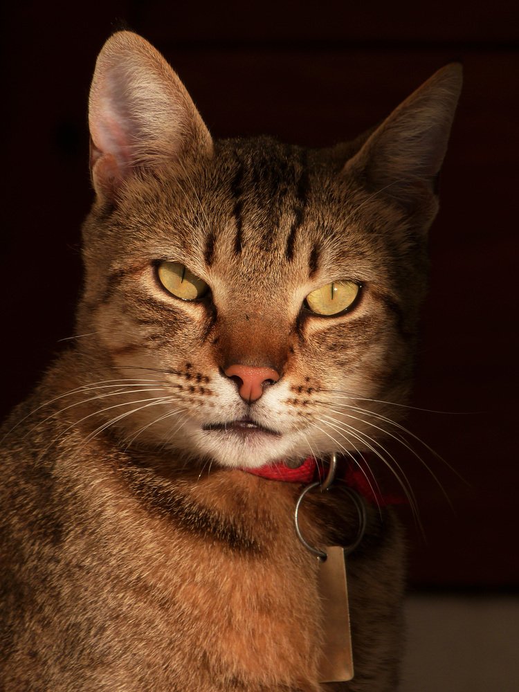 Photograph by GLEYDA GUTIÉREZ