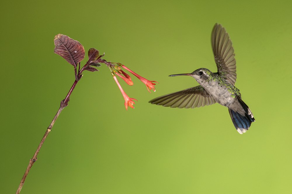 Photograph by Esteban Argerich