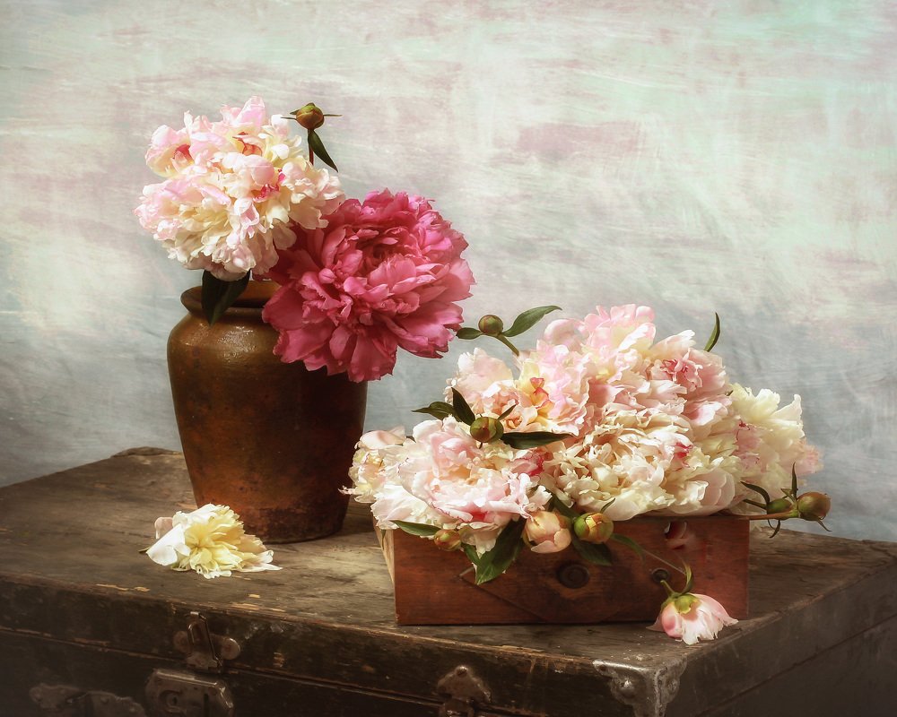 Фотография автора тамара шмакова