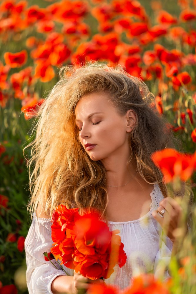 Фотография автора Андрей Воловик