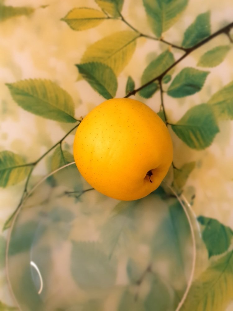 яблоко на ветке