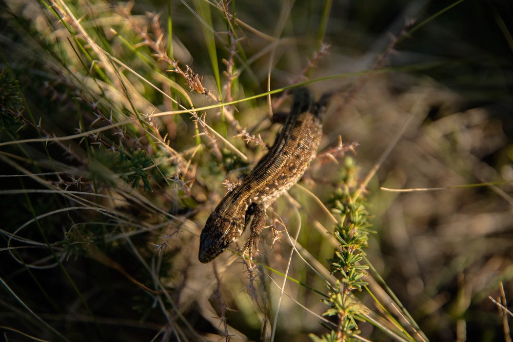 Photograph by Елена Прохорова