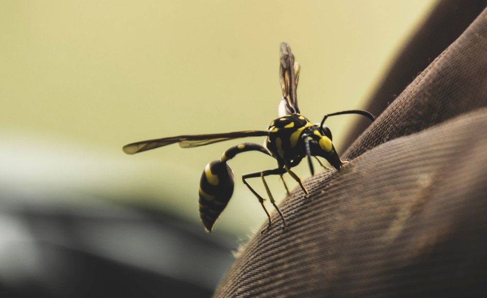 Photograph by Vireak