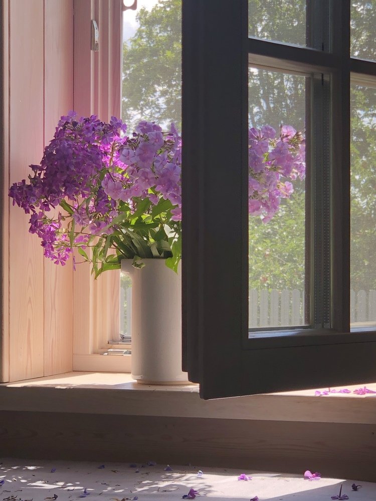 Фотография автора Наталья Васько -Черданцева