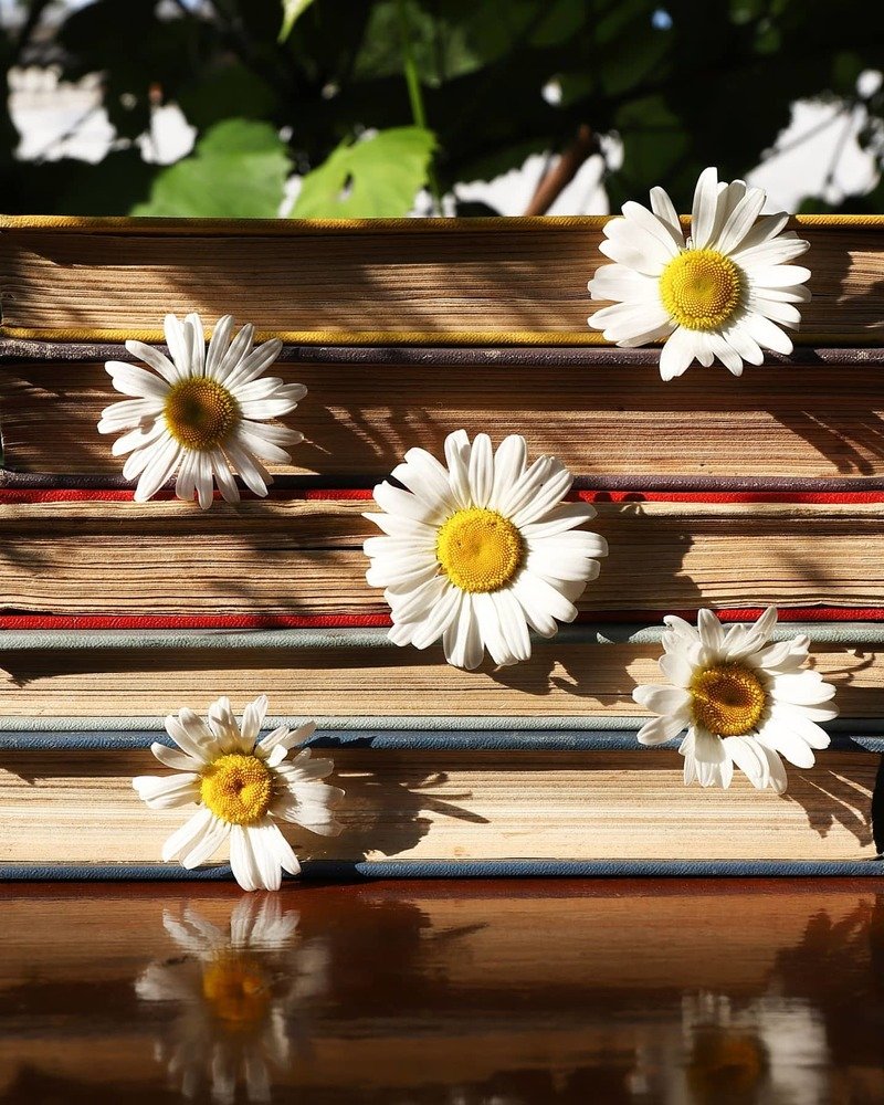 Photograph by Виктория Кузина