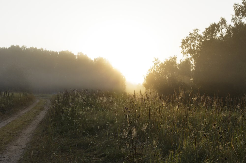 Photograph by Elena Kalinichenko