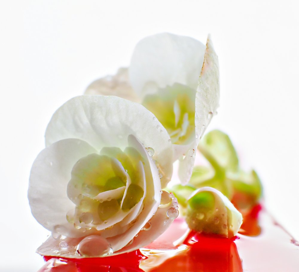 Photograph by Юрий Чернов