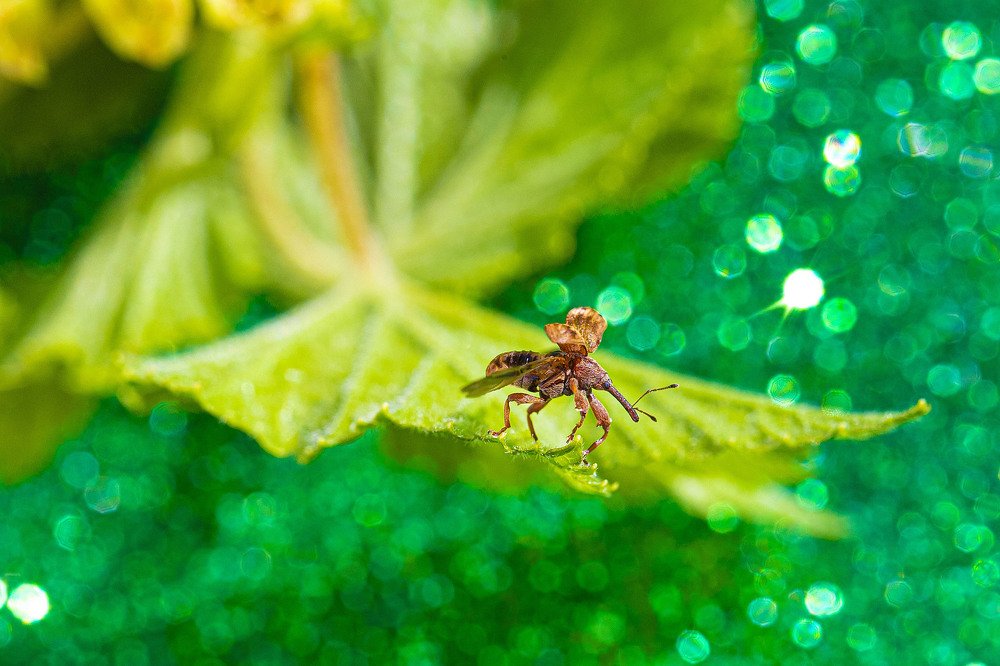 Photograph by Наталья Санталова